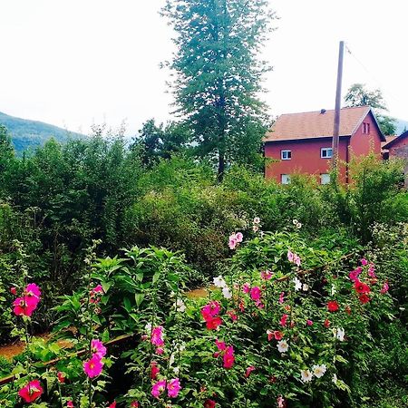 Peace Valley - Dolina Mira Janja Gora Exterior photo