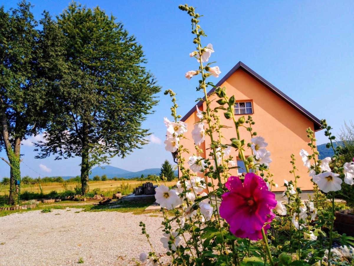 Peace Valley - Dolina Mira Janja Gora Exterior photo
