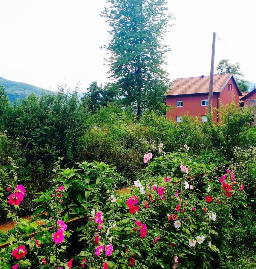 Peace Valley - Dolina Mira Janja Gora Exterior photo