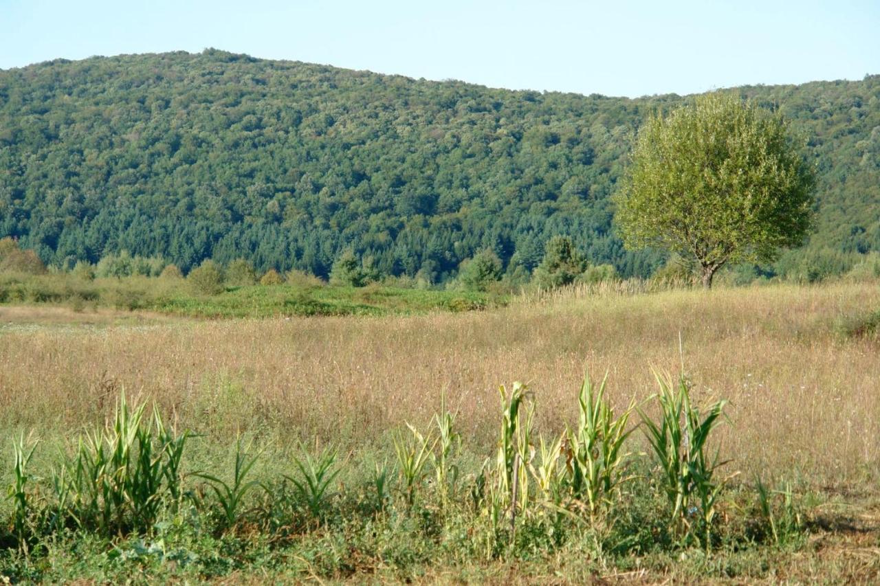 Peace Valley - Dolina Mira Janja Gora Exterior photo
