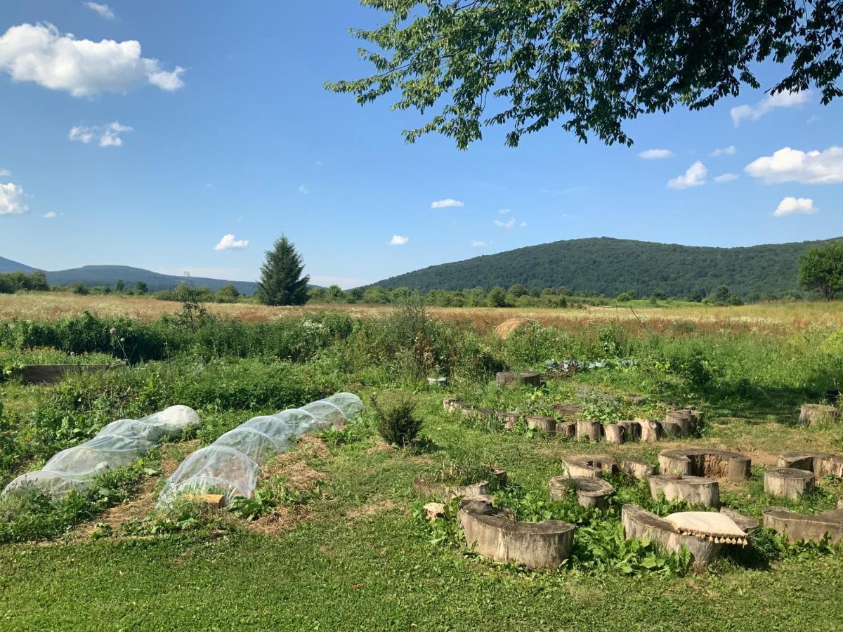 Peace Valley - Dolina Mira Janja Gora Exterior photo