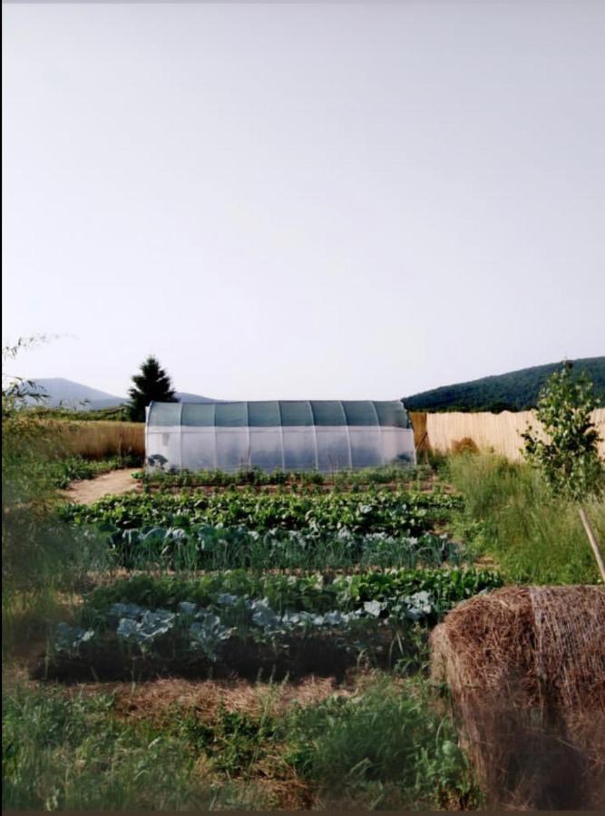 Peace Valley - Dolina Mira Janja Gora Exterior photo