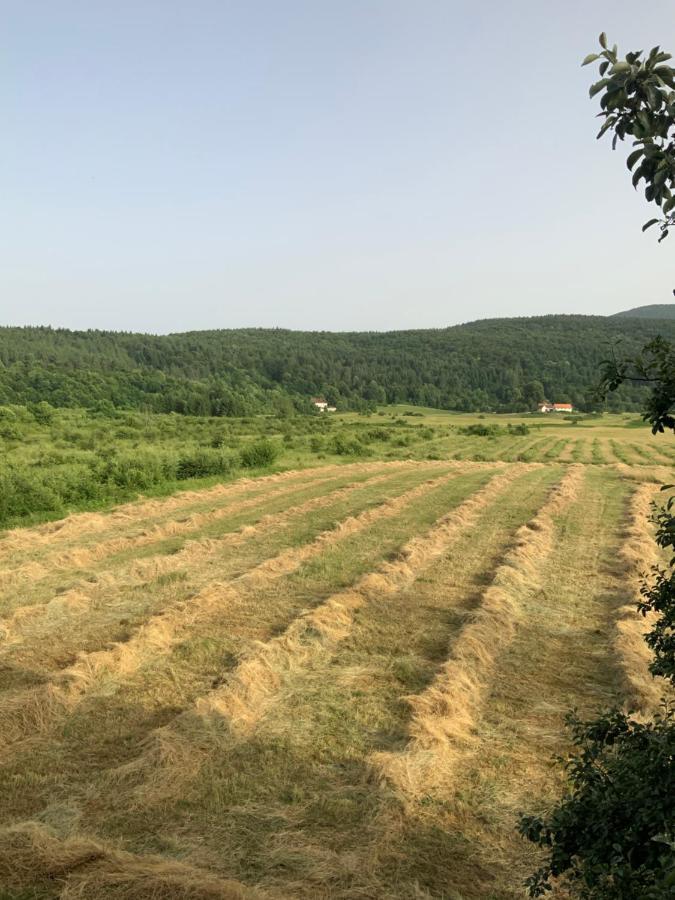 Peace Valley - Dolina Mira Janja Gora Exterior photo
